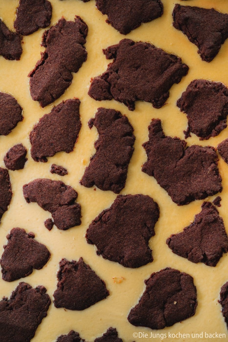 Russischer Zupfkuchen vom Blech. Saftig, cremig und ohne Backmischung 2 Russischer Zupfkuchen vom Blech von oben mit Schokozupfen